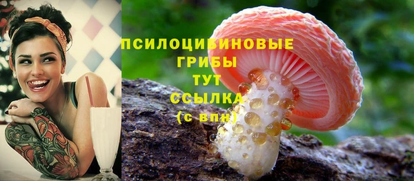 наркотики Алексин