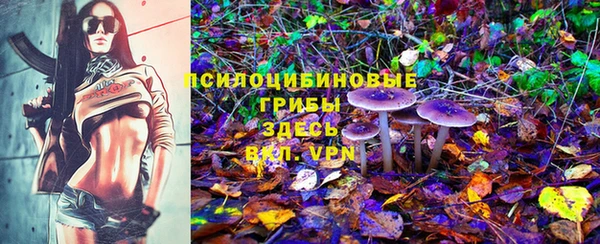 гидропоника Аркадак