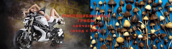 меф Арсеньев